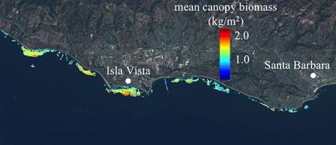 An image from some of Kyle's early work on using satellites to see kelp in Santa Barbara, CA.