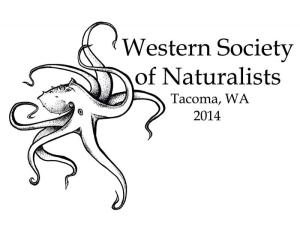 octopus_shirt_back_small.241163727_std