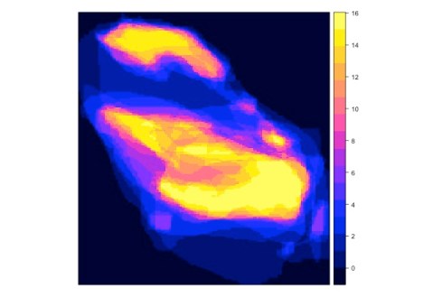 Rplot_spatialGrid_heatmap