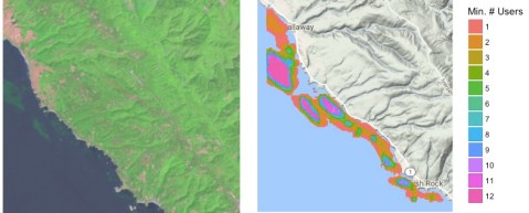 consensus_classification